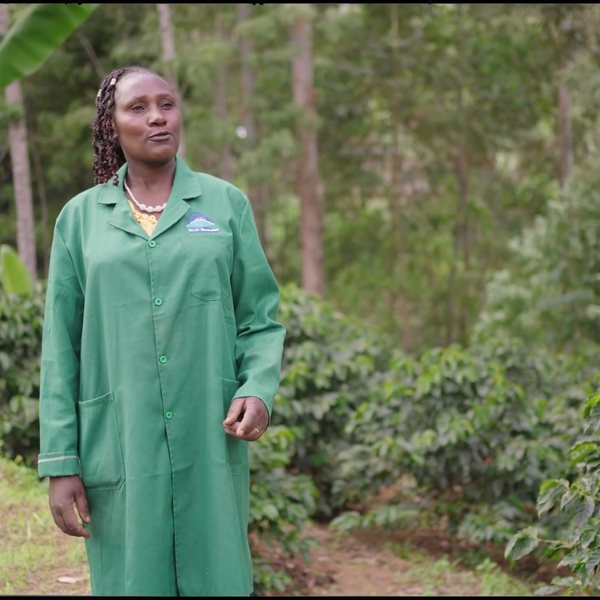 We Effect: Herofilmen från Kenya